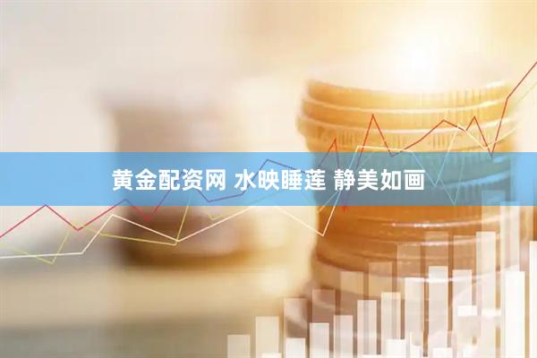 黄金配资网 水映睡莲 静美如画