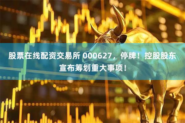 股票在线配资交易所 000627，停牌！控股股东宣布筹划重大事项！