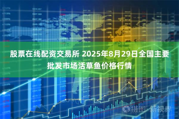 股票在线配资交易所 2025年8月29日全国主要批发市场活草鱼价格行情