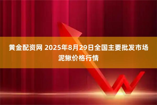 黄金配资网 2025年8月29日全国主要批发市场泥鳅价格行情