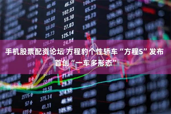 手机股票配资论坛 方程豹个性轿车“方程S”发布 首创“一车多形态”