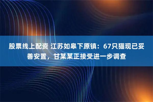 股票线上配资 江苏如皋下原镇：67只猫现已妥善安置，甘某某正接受进一步调查